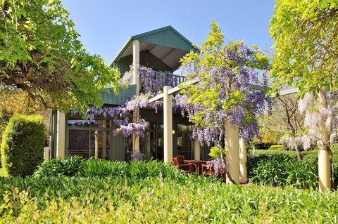 Tree Elle - Stayed 1