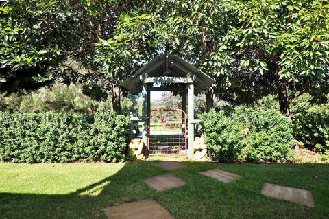 Tree Elle - Stayed 2