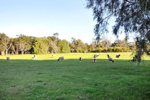 Tree Elle - Stayed 6