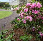 Anabels of Scottsdale - Stayed