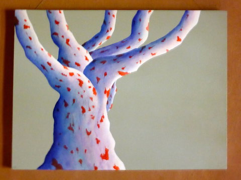 Wildwood Guesthouse - Stays Accommodation 4