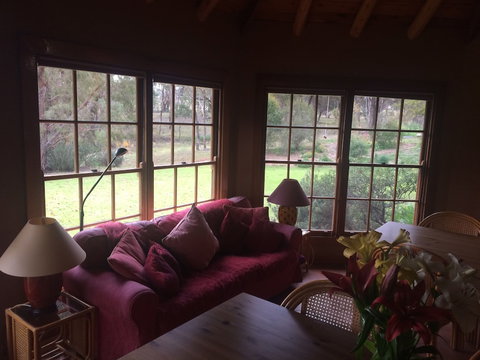 Wildwood Guesthouse - Stays Accommodation 2