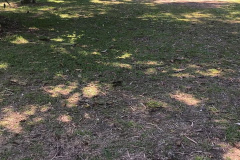 Dunk Island View Caravan Park - Stayed 3
