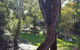 Wilsons Promontory Motel - thumb 1
