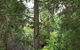 Wilsons Promontory Motel - thumb 5