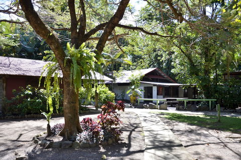 PKs Jungle Village - Hostel - Stays Accommodation 5
