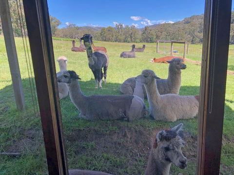 Valley Farm Vineyard Cottages - Stayed 2