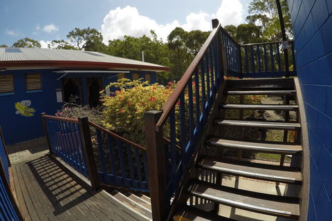 Cool Bananas Backpackers - Stayed 5