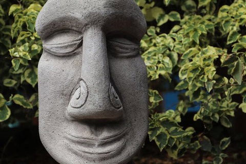 Cool Bananas Backpackers - Stayed 1