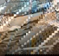 Platinum Suites Fremantle - Stayed