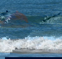 Summerhills Retreat Byron Bay - Stayed