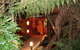 AAA Granary Accommodation - thumb 6