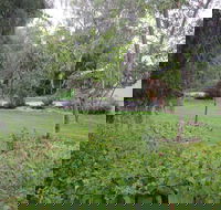 Amy's House - Stayed