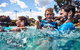 Anglesea Family Caravan Park - thumb 4