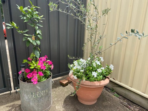 Bendigo Backpackers - Stays Accommodation 2