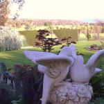 Springbank Bed & Breakfast - Stayed 0