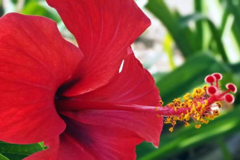 Driftwood Motel & Holiday Units - Stayed 6