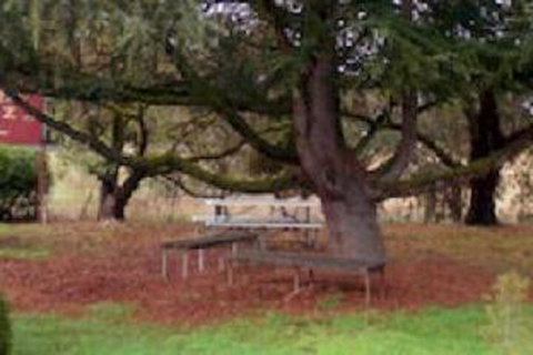 Auburn Shiraz Motel - Stays Accommodation 0