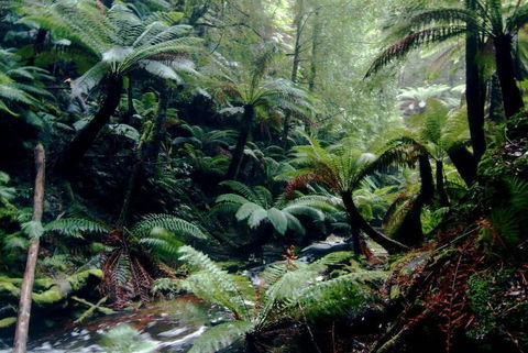 Corinna Wilderness Experience - Stayed 2