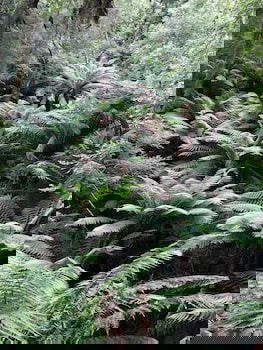 Corinna Wilderness Experience - Stayed 1