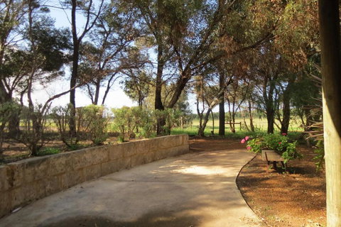 Bentwood Olive Grove Accommodation - Stayed 3