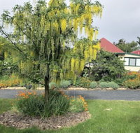 Hamlet Downs Country Accommodation - Stayed