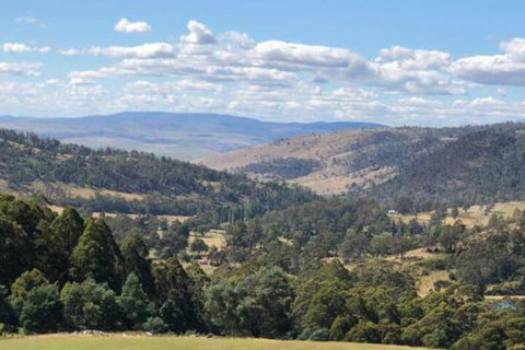 Sassafras Springs - Stayed 6