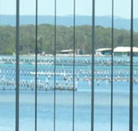 Montgomery Apartments - Stayed