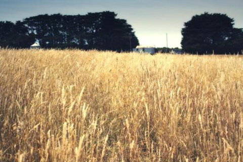 Galwiji Homestead - Stayed 6