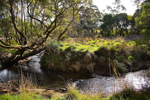 Green Gully House - Stayed 0
