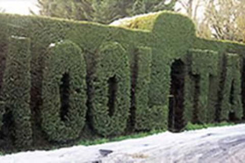 Mooltan House-hepburn Springs - Stayed 0