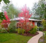 Dalrymples Guest Cottages - Stayed