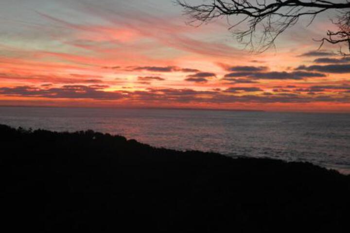 Archies Creek VIC Stayed