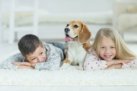 BOUTIQUE STAYS - Brighton Rose - Stayed 2