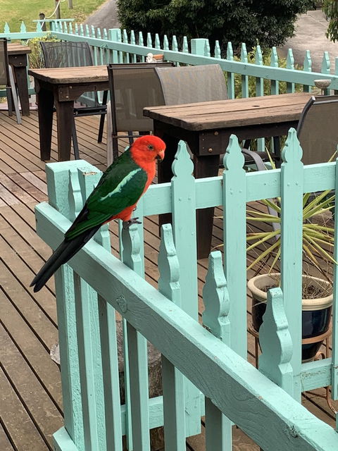 The Goat And Goose B&B - Stayed 5