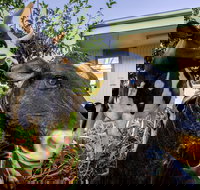 Big4 Shepparton Park Lane - Stayed