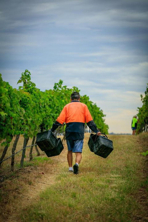 Hanging Tree Wines - Stayed 3