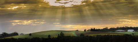 Hanging Tree Wines - Stayed 5