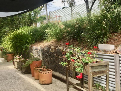 Eumundi Guesthouse & B & B - Stayed 4