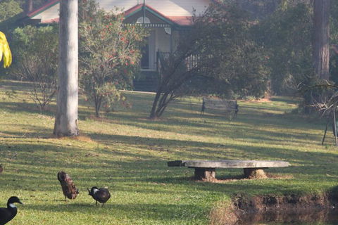 Telegraph Retreat Cottages - Stayed 6