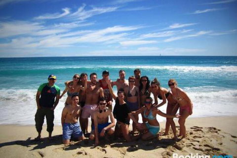 The Witchs Hat - Stayed 2