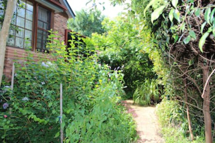 Springwood NSW Stayed
