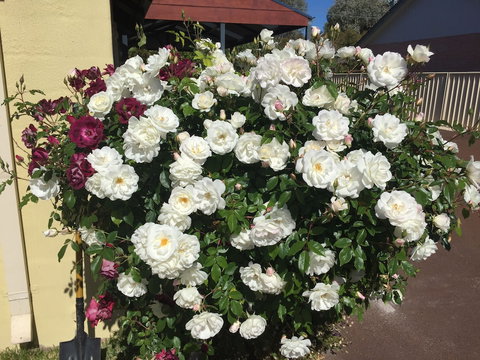 Observatory Guesthouse - Adults Only - Stayed 6