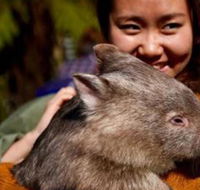 Fauna Australia Wildlife Retreat - Stayed