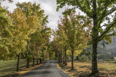 Clarendon Forest Retreat - Stayed 1