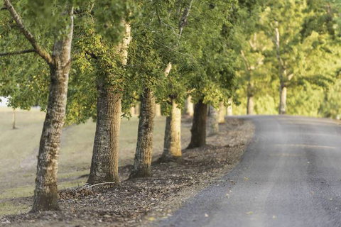 Clarendon Forest Retreat - Stayed 3