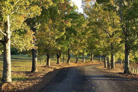 Clarendon Forest Retreat - Stayed 2