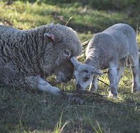 Clandulla Cottages - Stayed