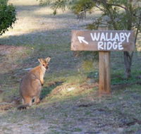 Wallaby Ridge Retreat - Stayed