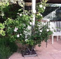 Ellesmere House - Stayed